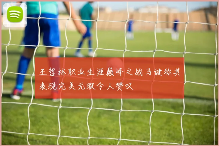 王哲林职业生涯巅峰之战马健称其表现完美无瑕令人赞叹
